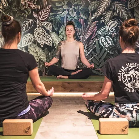 Falkenstein - Flying Wellness - Matrix Gym - Sommerkarte Inklusive Hotel