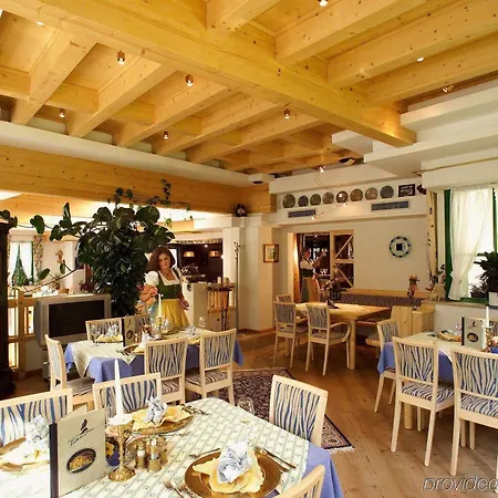 Falkenstein - Flying Wellness - Matrix Gym - Sommerkarte Inklusive